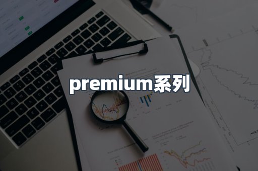 premium系列